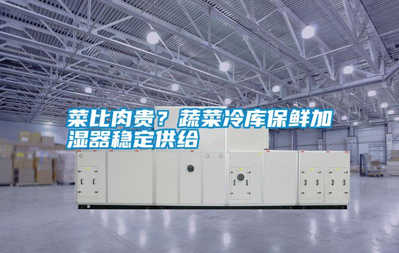菜比肉貴？蔬菜冷庫保鮮加濕器穩定供給