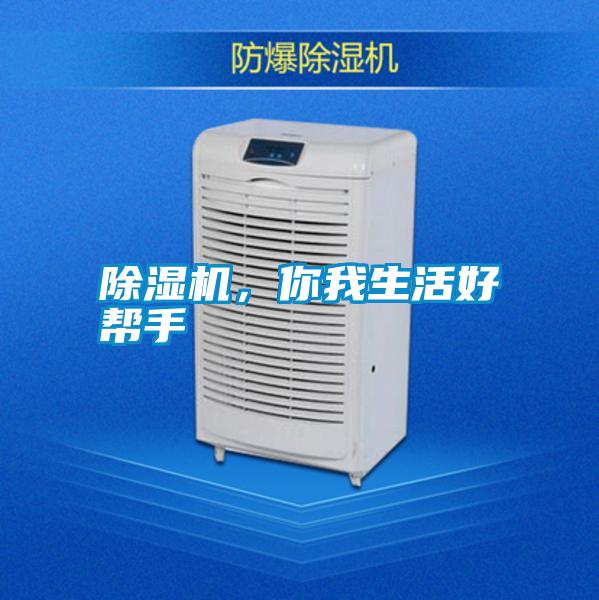 除濕機(jī),你我生活好幫手