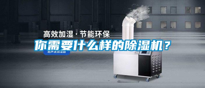 你需要什么樣的除濕機?