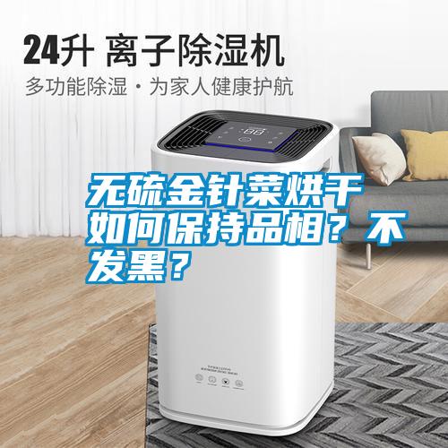 無硫金針菜烘干如何保持品相?不發黑?