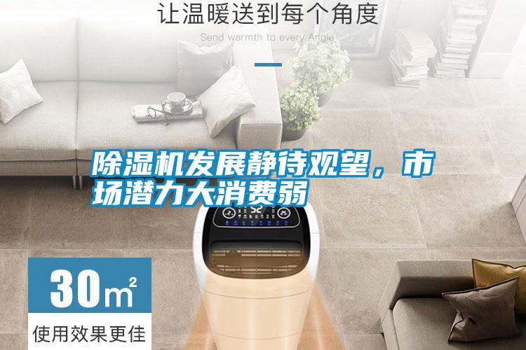除濕機(jī)發(fā)展靜待觀望，市場潛力大消費(fèi)弱