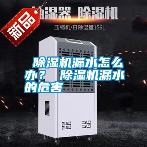  除濕機漏水怎么辦？ 除濕機漏水的危害