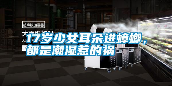 17歲少女耳朵進蟑螂,都是潮濕惹的禍