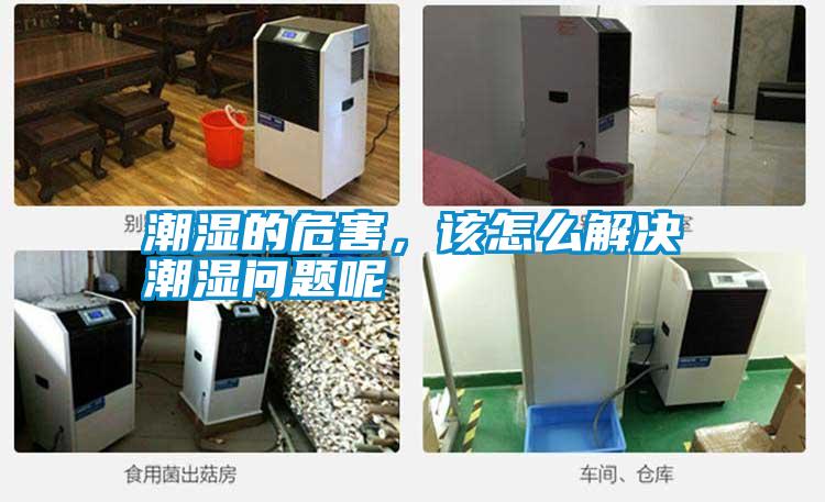 潮濕的危害,該怎么解決潮濕問題呢