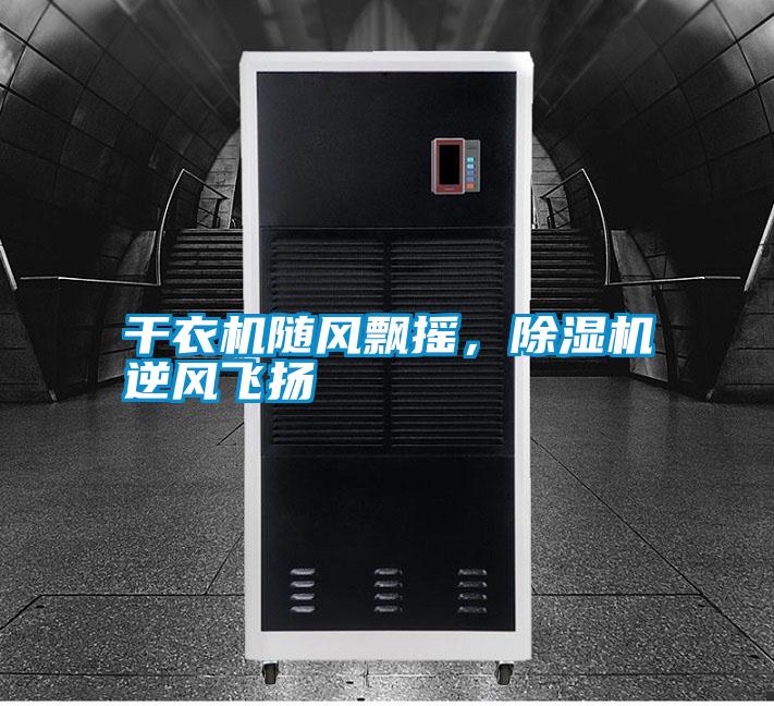 干衣機隨風(fēng)飄搖,除濕機逆風(fēng)飛揚