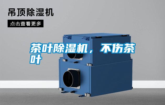 茶葉除濕機(jī),不傷茶葉