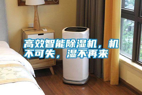 高效智能除濕機，機不可失，濕不再來