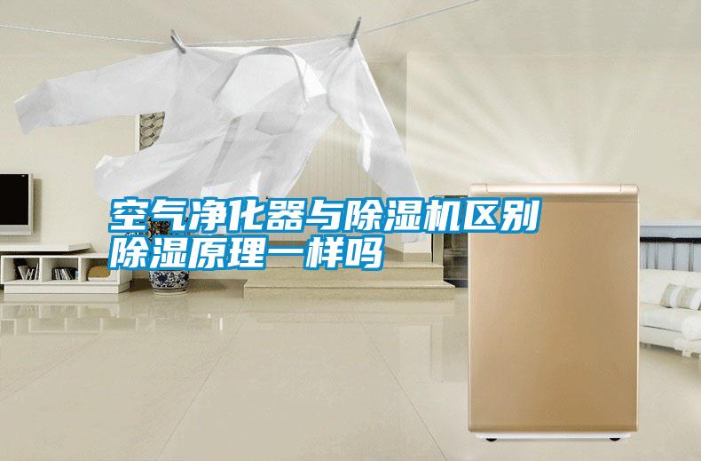 空氣凈化器與除濕機(jī)區(qū)別 除濕原理一樣嗎