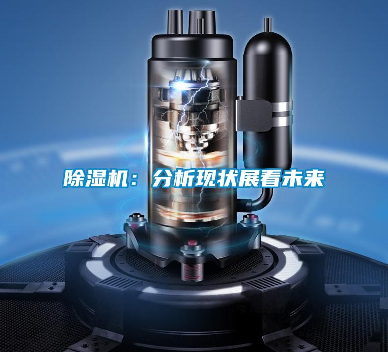 除濕機(jī):分析現(xiàn)狀展看未來(lái)