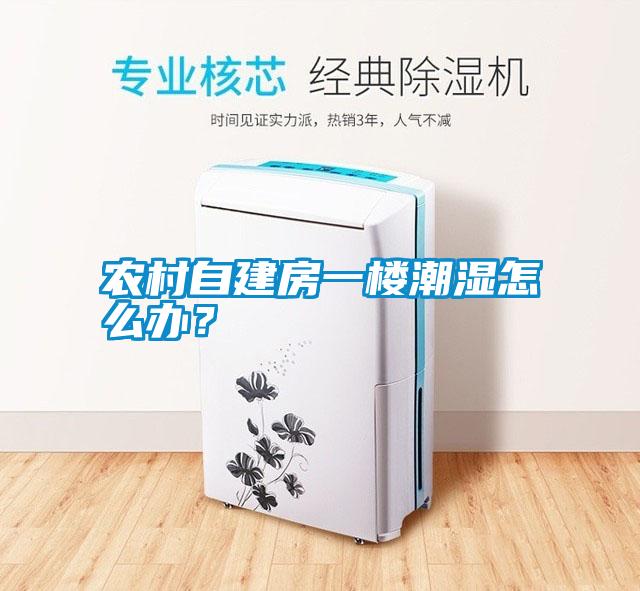 農村自建房一樓潮濕怎么辦?