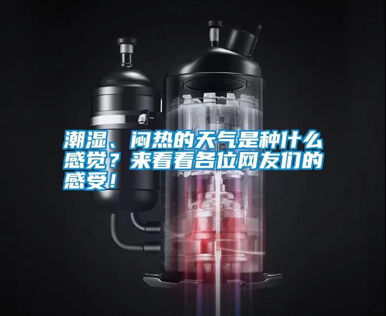 潮濕、悶熱的天氣是種什么感覺?來看看各位網友們的感受!