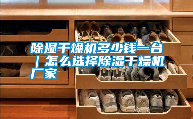 除濕干燥機(jī)多少錢(qián)一臺(tái)|怎么選擇除濕干燥機(jī)廠家