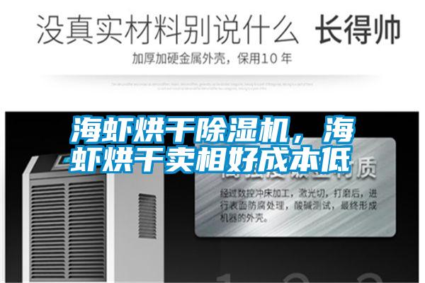 海蝦烘干除濕機(jī),海蝦烘干賣相好成本低