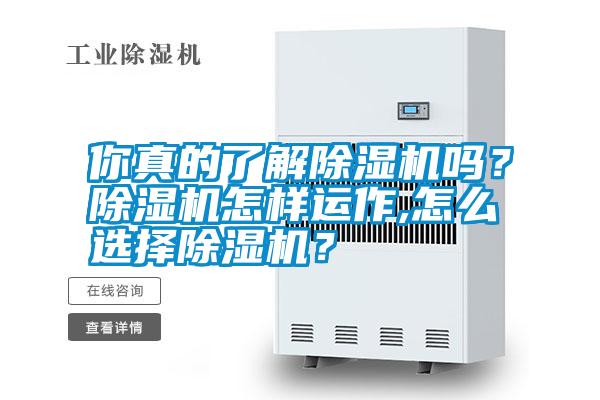 你真的了解除濕機嗎?除濕機怎樣運作,怎么選擇除濕機?