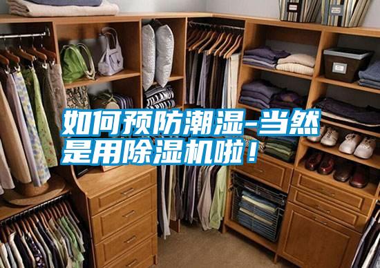 如何預防潮濕-當然是用除濕機啦!