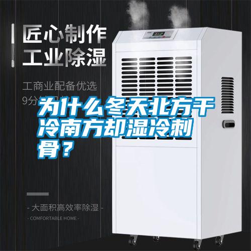 為什么冬天北方干冷南方卻濕冷刺骨？