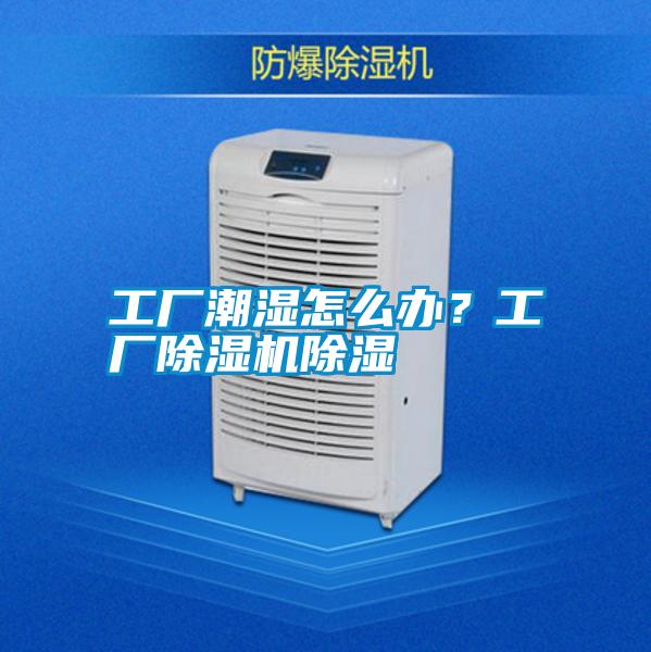 工廠潮濕怎么辦？工廠除濕機(jī)除濕