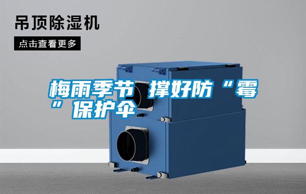 梅雨季節 撐好防“霉”保護傘