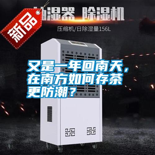 又是一年回南天，在南方如何存茶更防潮？
