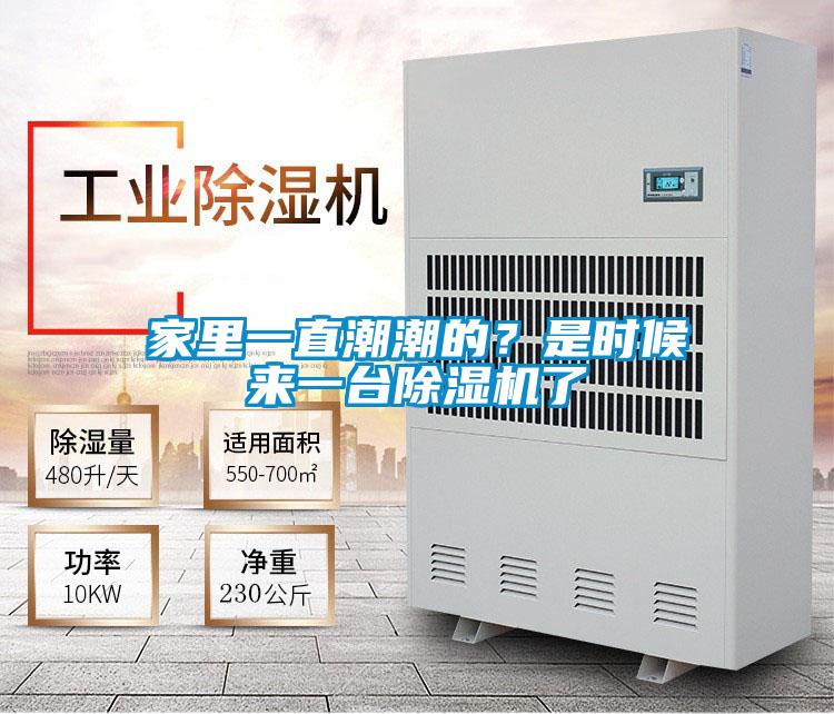 家里一直潮潮的？是時(shí)候來一臺除濕機(jī)了