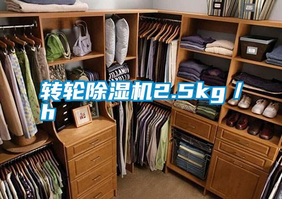 轉輪除濕機2.5kg/h