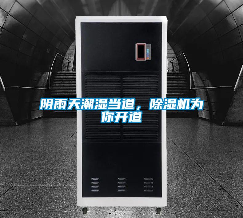 陰雨天潮濕當(dāng)?shù)溃凉駲C(jī)為你開道