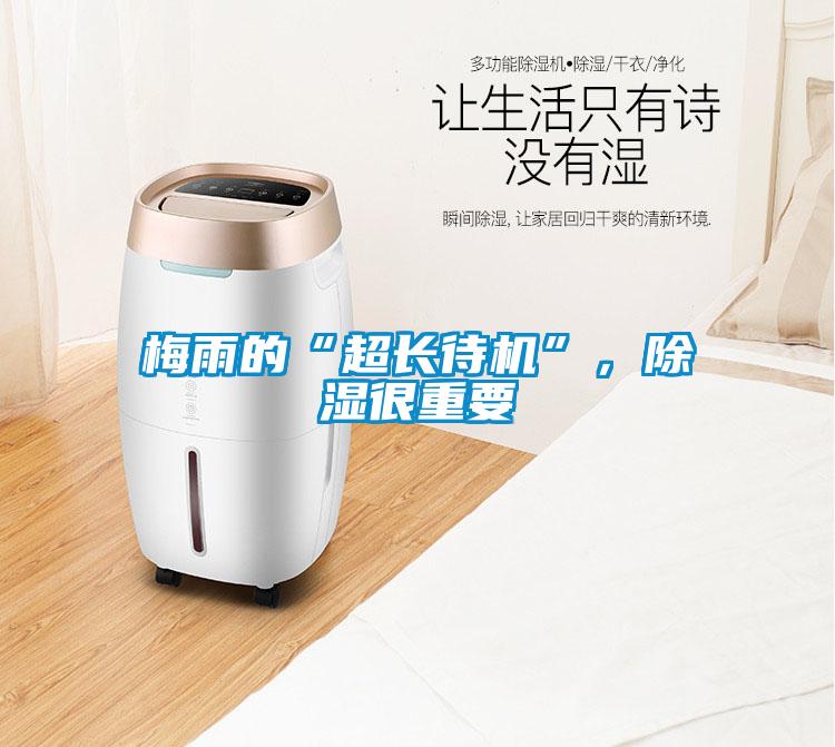 梅雨的“超長待機(jī)”,除濕很重要