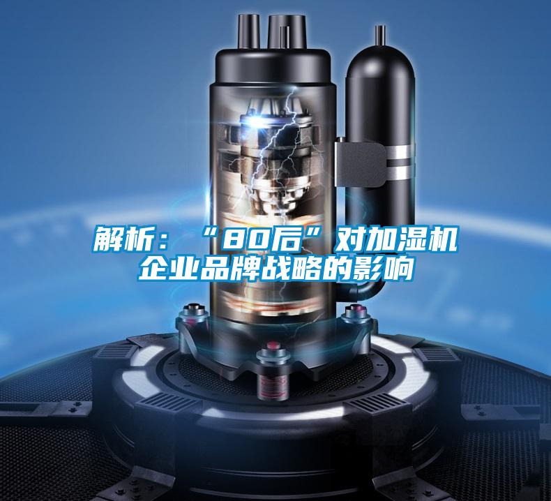 解析:“80后”對加濕機企業品牌戰略的影響