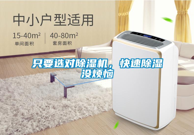 只要選對(duì)除濕機(jī),快速除濕沒(méi)煩惱