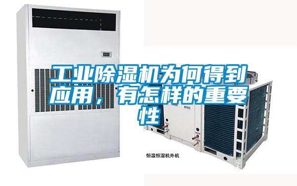 工業除濕機為何得到應用，有怎樣的重要性