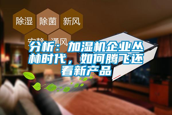 分析：加濕機企業(yè)叢林時代，如何騰飛還看新產(chǎn)品