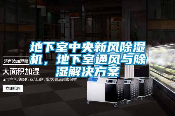 地下室中央新風除濕機,地下室通風與除濕解決方案