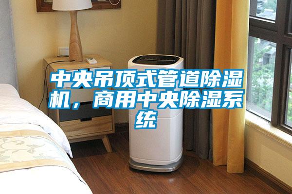 中央吊頂式管道除濕機(jī)，商用中央除濕系統(tǒng)