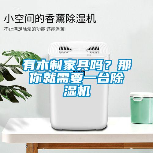 有木制家具嗎?那你就需要一臺(tái)除濕機(jī)