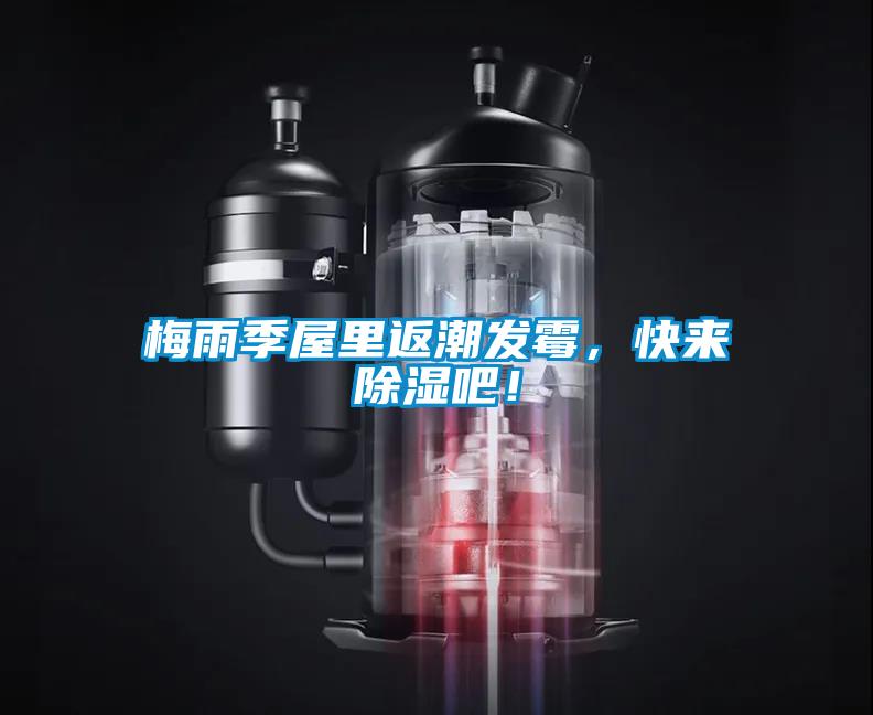 梅雨季屋里返潮發霉，快來除濕吧！