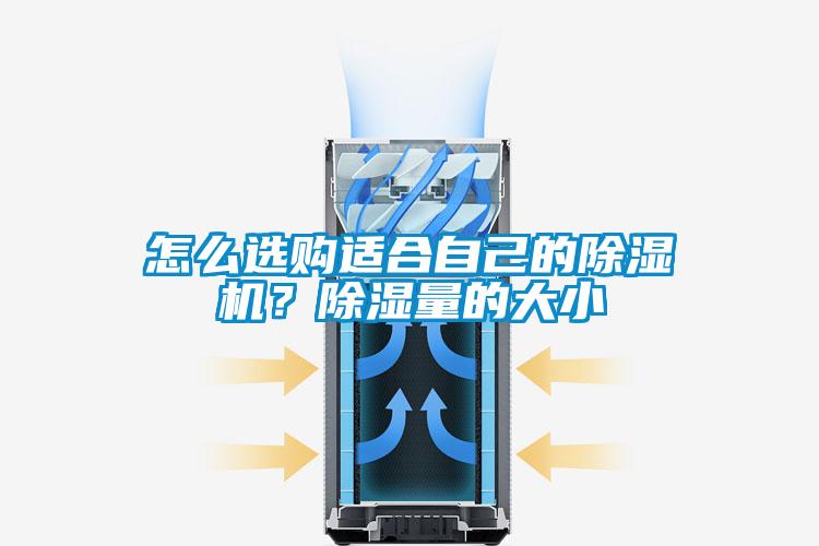 怎么選購適合自己的除濕機？除濕量的大小