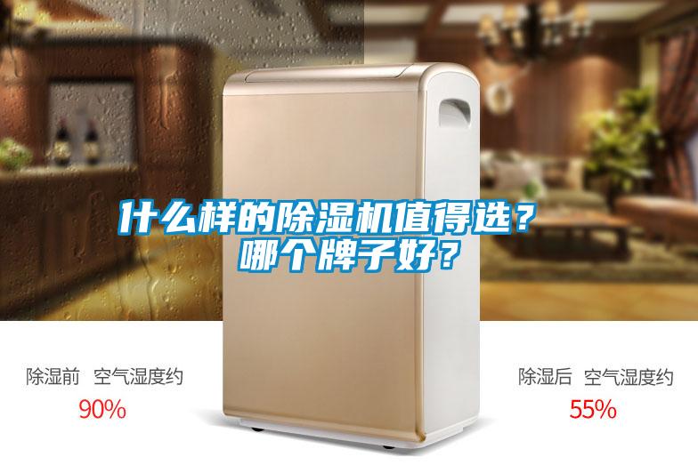 什么樣的除濕機值得選？ 哪個牌子好？