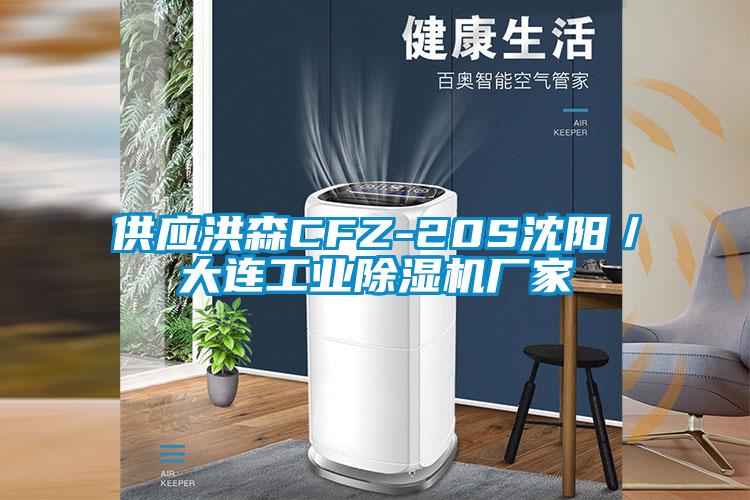 供應洪森CFZ-20S沈陽／大連工業除濕機廠家