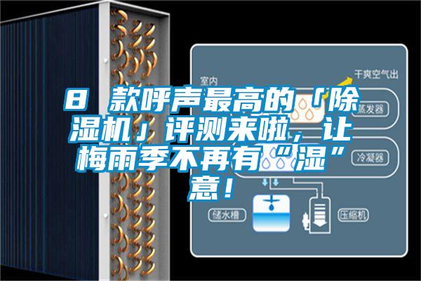 8 款呼聲最高的「除濕機」評測來啦，讓梅雨季不再有“濕”意！