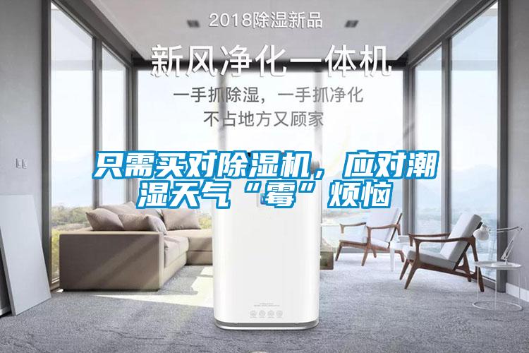 只需買對除濕機，應對潮濕天氣“霉”煩惱