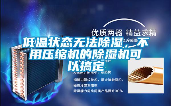 低溫狀態(tài)無法除濕,不用壓縮機的除濕機可以搞定
