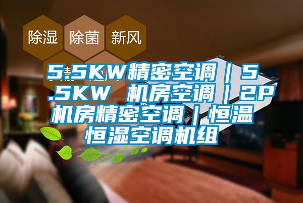 5.5KW精密空調(diào)|5.5KW 機房空調(diào)|2P機房精密空調(diào)|恒溫恒濕空調(diào)機組
