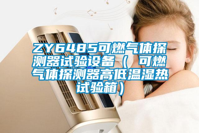 ZY6485可燃氣體探測器試驗設備( 可燃氣體探測器高低溫濕熱試驗箱)