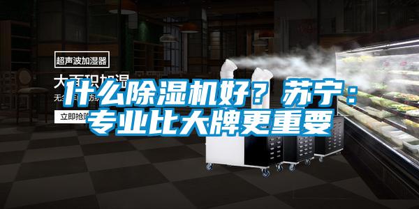 什么除濕機好?蘇寧:專業比大牌更重要