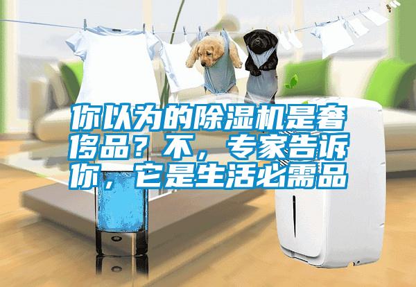 你以為的除濕機(jī)是奢侈品？不，專(zhuān)家告訴你，它是生活必需品