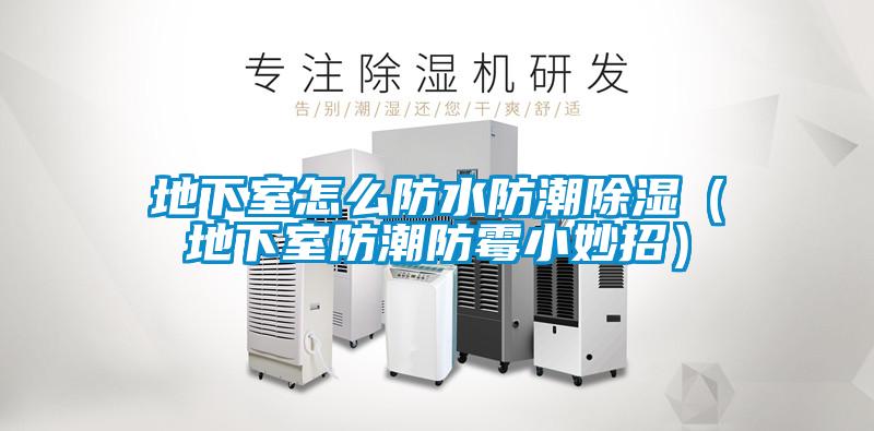 地下室怎么防水防潮除濕(地下室防潮防霉小妙招)