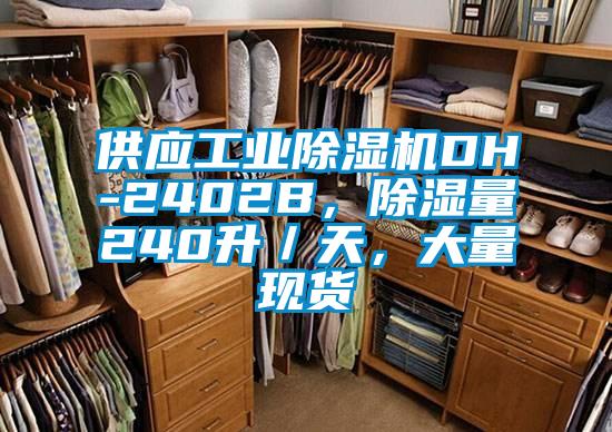 供應(yīng)工業(yè)除濕機(jī)DH-2402B，除濕量240升／天，大量現(xiàn)貨