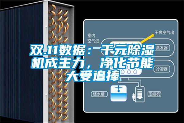 雙.11數(shù)據(jù):千元除濕機成主力,凈化節(jié)能大受追捧