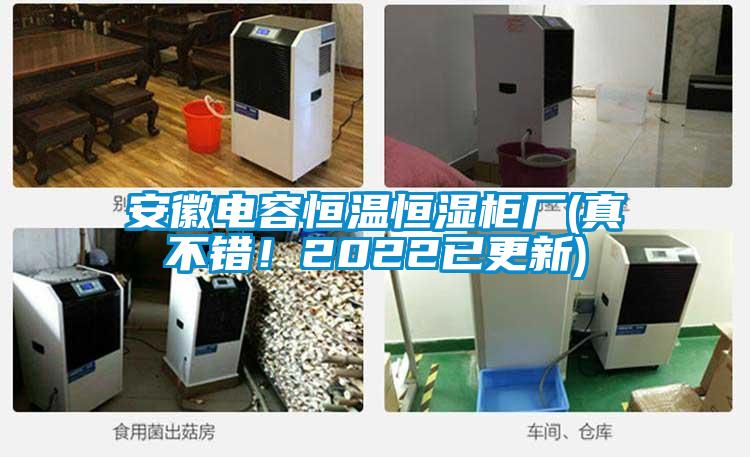 安徽電容恒溫恒濕柜廠(真不錯!2022已更新)