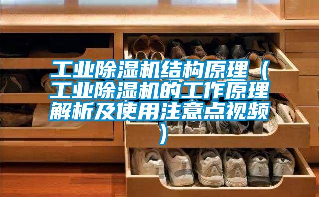 工業(yè)除濕機結(jié)構(gòu)原理(工業(yè)除濕機的工作原理解析及使用注意點視頻)